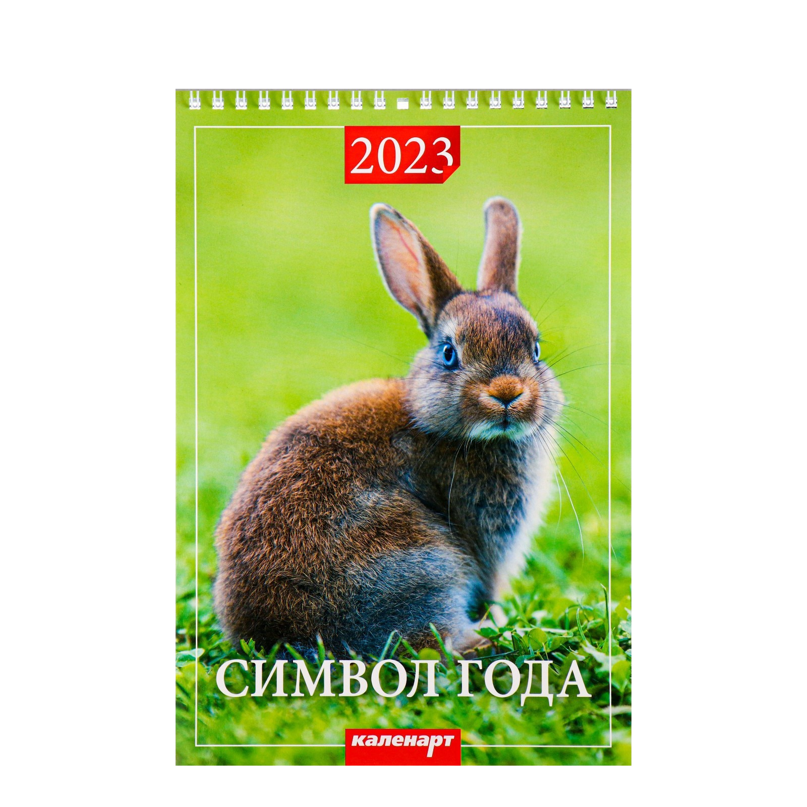 

Календарь на пружине Символ года. Вид 1 2023 год, 17х25 см