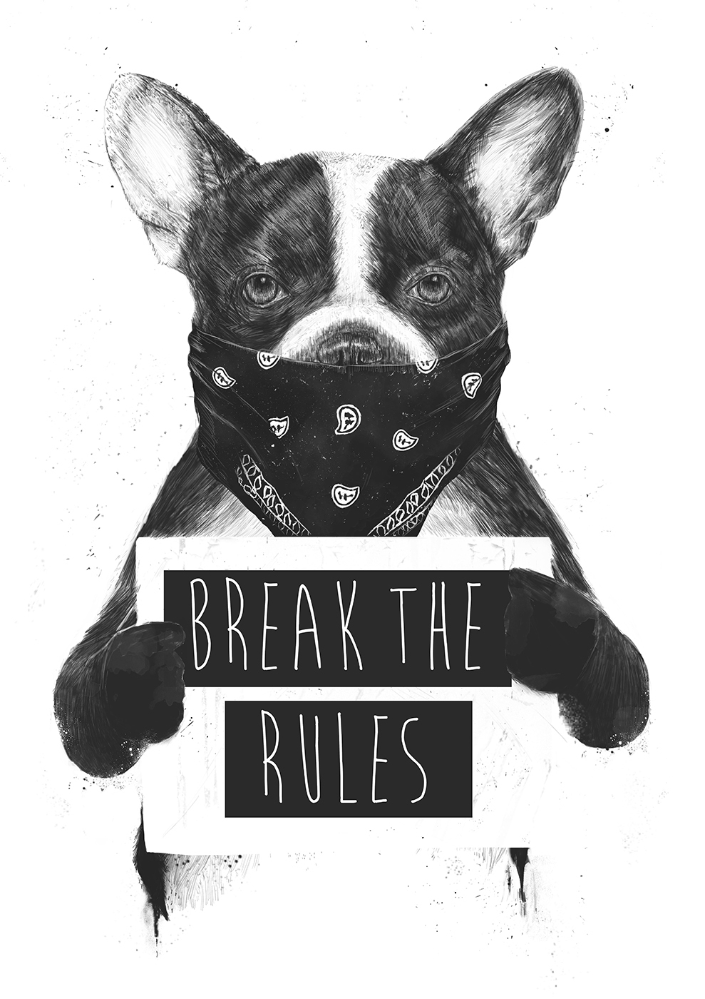 

Большой постер на стену Rebel dog 40х50 см без рамы, BSREBELDOG
