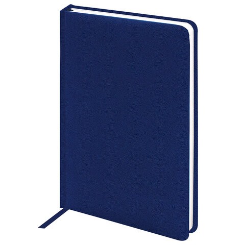 

Ежедневник Brauberg 111664 Select недатированный A5