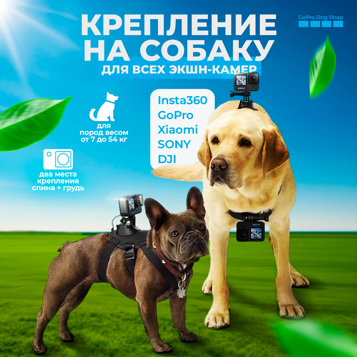 

Крепление NoBrand Dog strap, Черный, Dog strap