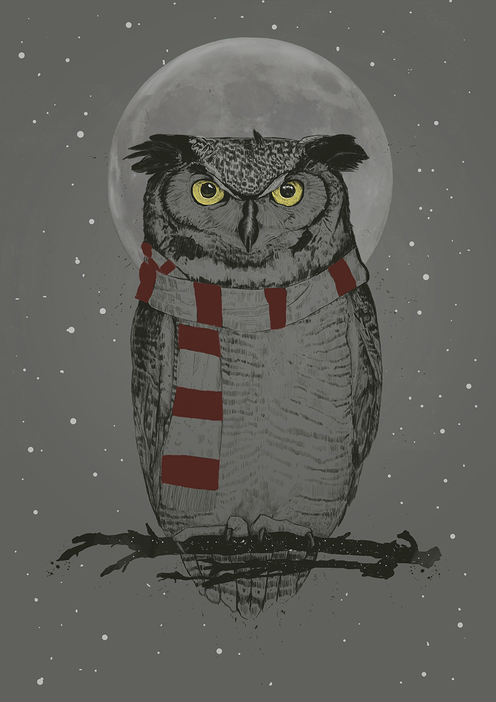 

Большой постер на стену Winter owl 60х90 см без рамы, BSWINOWL