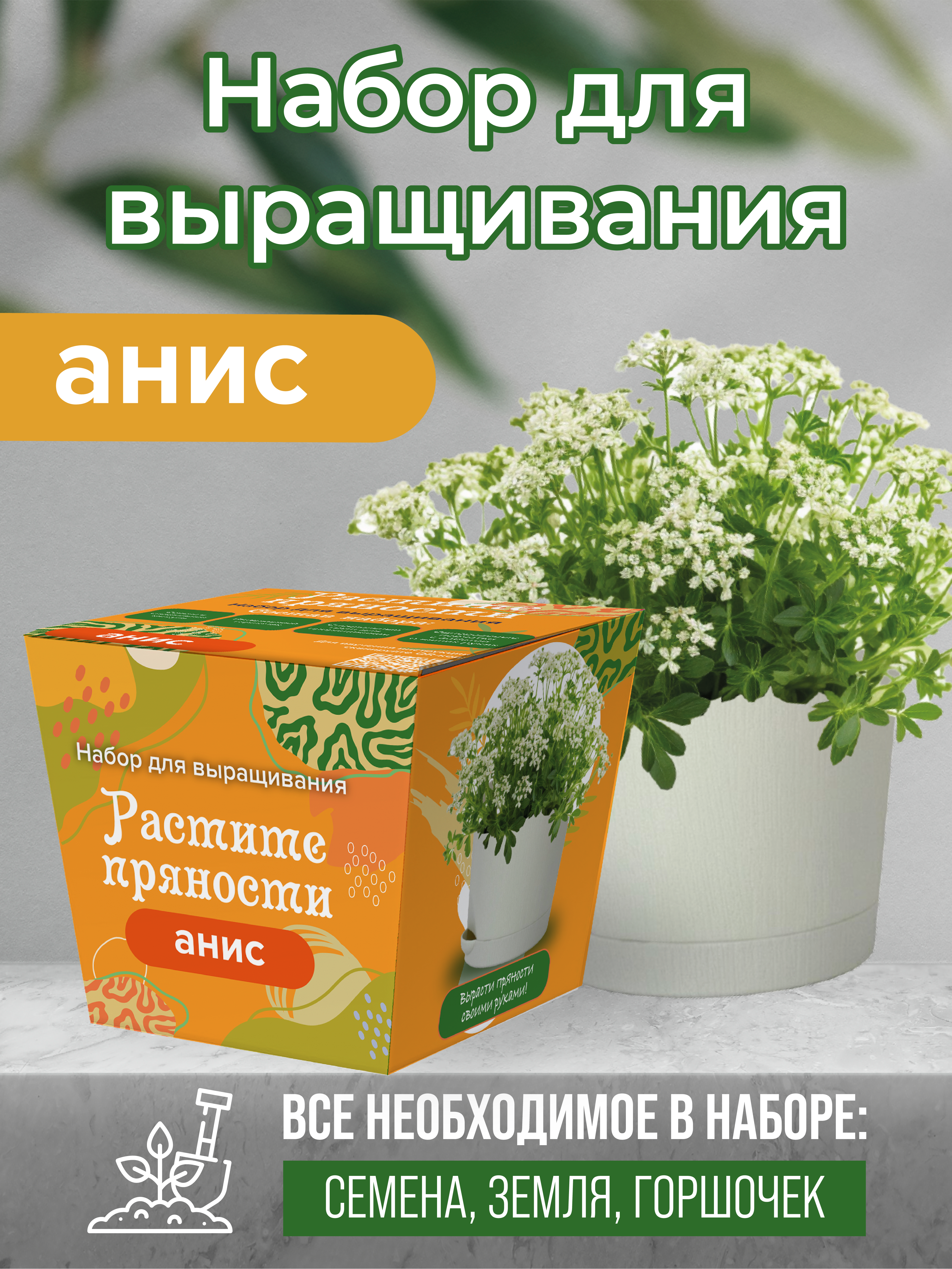 Набор для выращивания ЭкоКлуб  4610178672938 анис