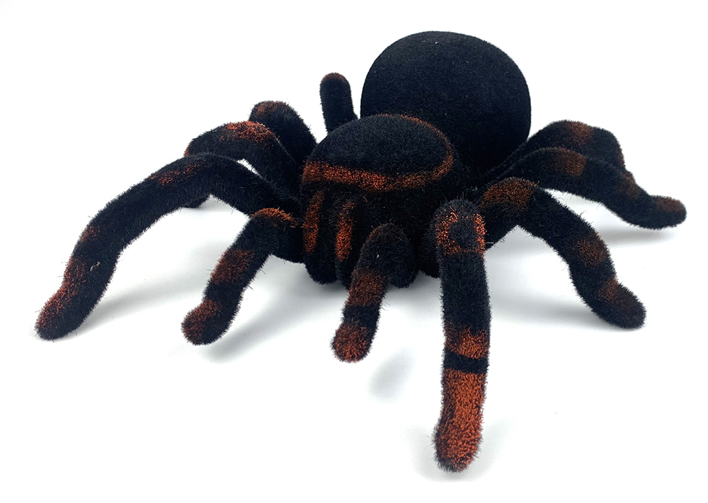 

Паук Panawealthtarantul Тарантул, tarantul