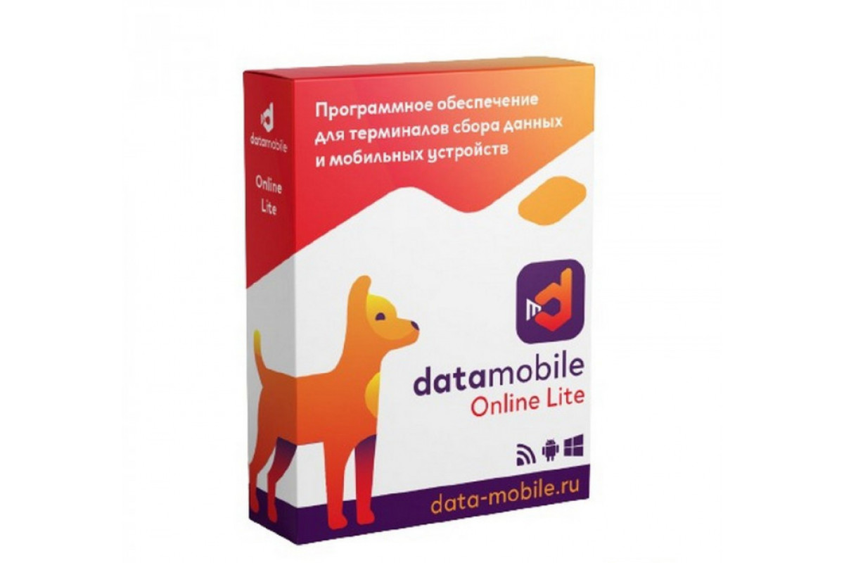 

Программа для бизнеса DataMobile DMOnlineLite12m, DMOnlineLite12m
