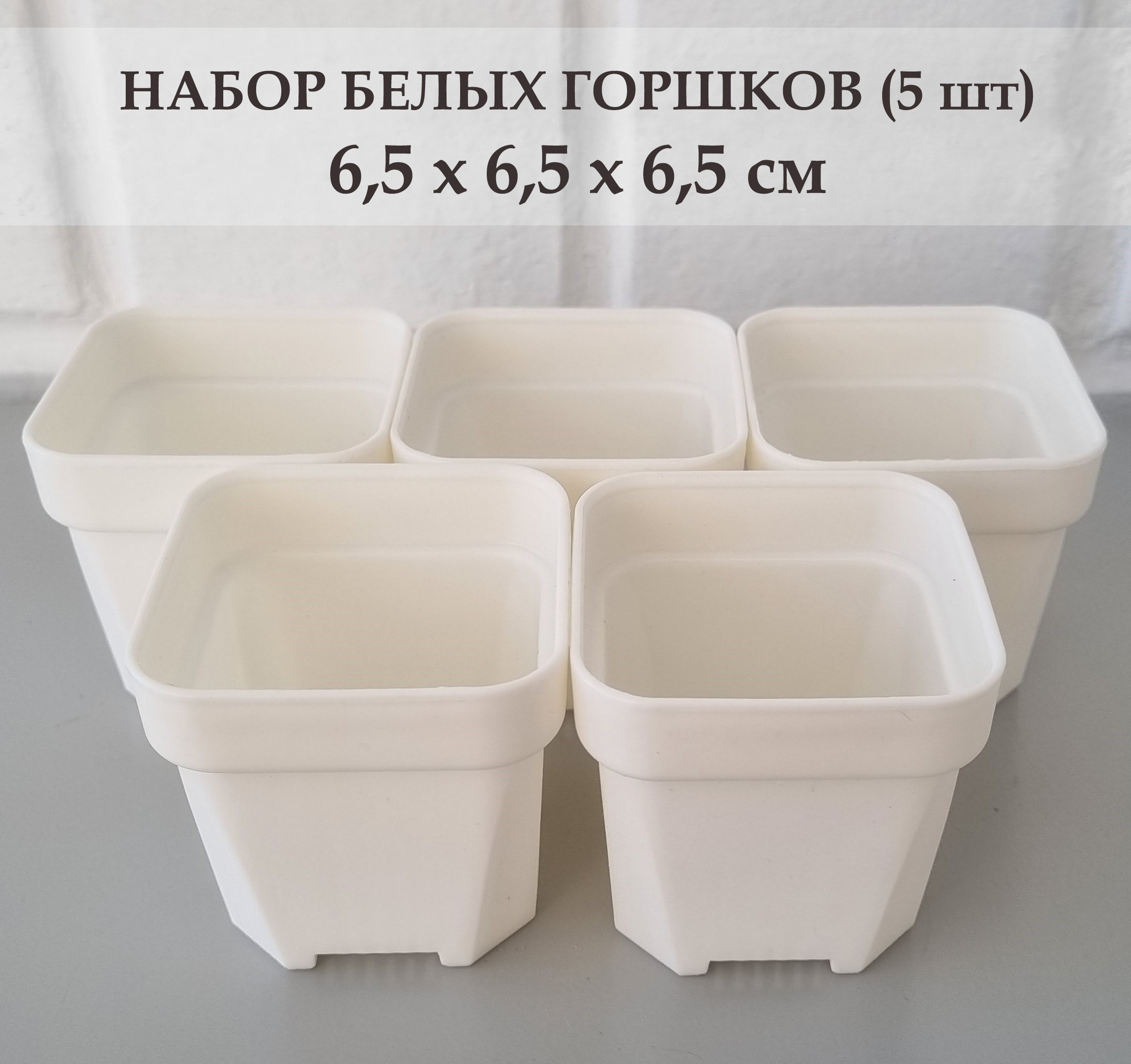 

Цветочный горшок White garden Для суккулентов F65 0,2 л белый 5 шт., Для суккулентов