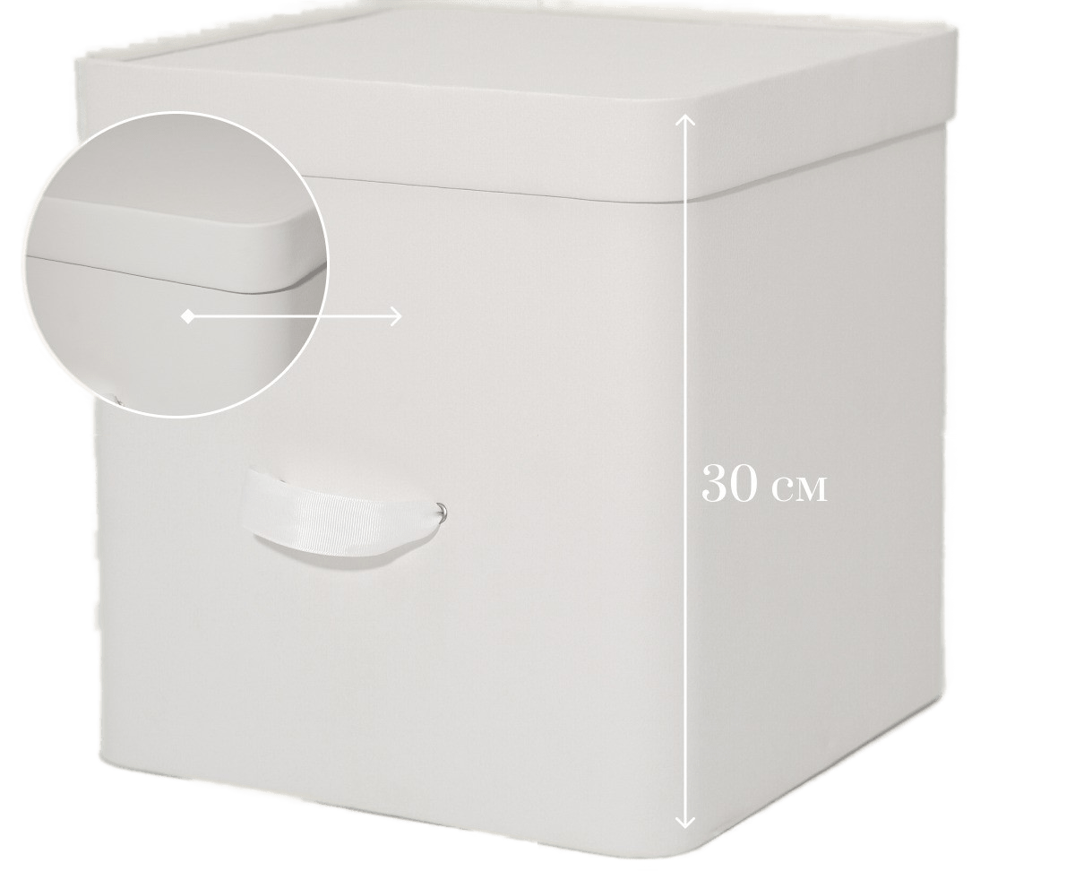 

Коробка для хранения Rompicato, 30 х 30 х 30 см, 1 шт, StCube