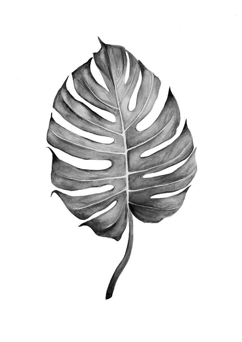 

Большой постер на стену Split Leaf 60х90 см без рамы, SCANDISPLITLEAF