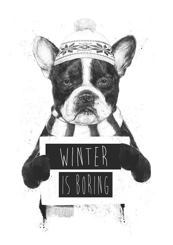 

Большой постер на стену Winter is boring 50х70 см без рамы, BSWINBORING