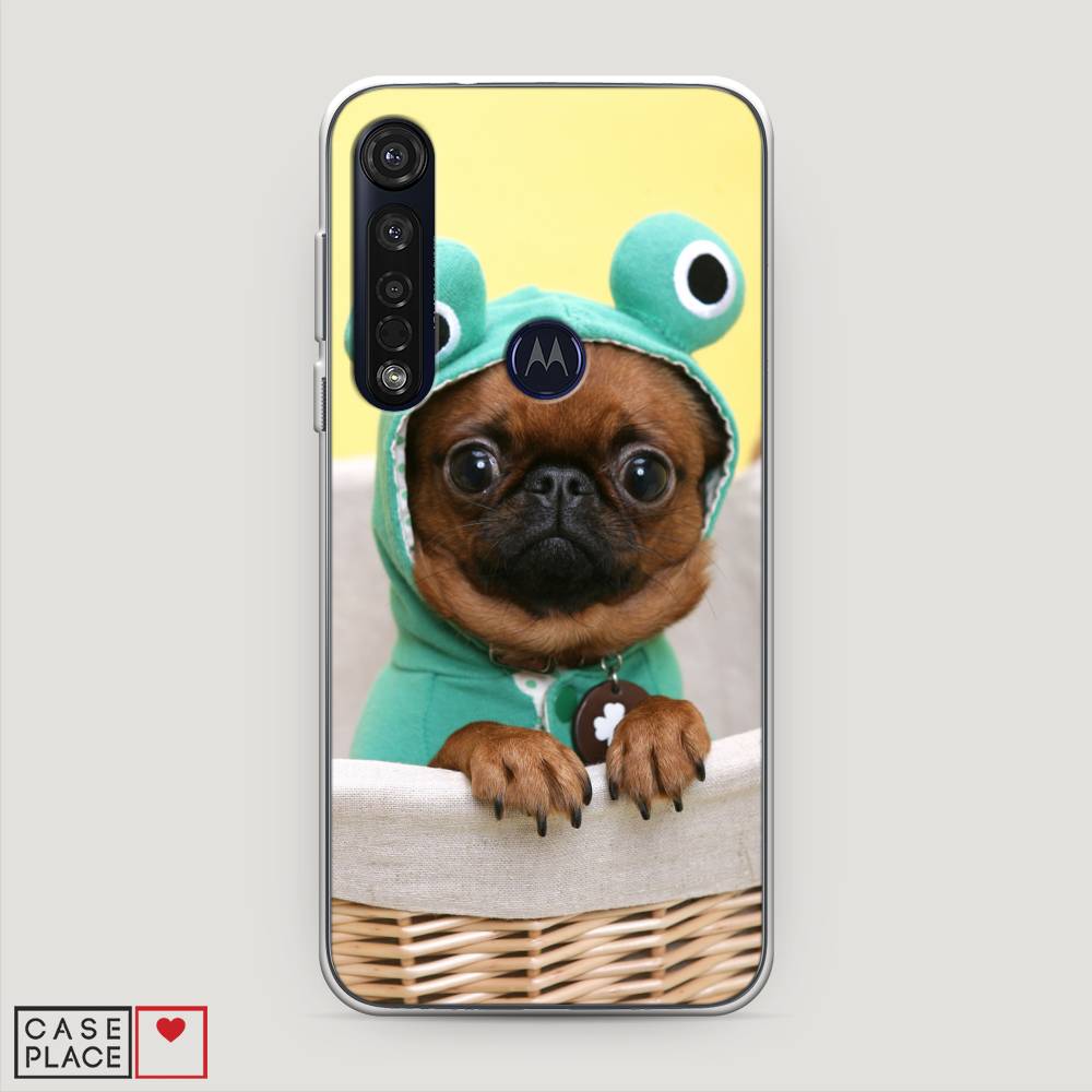 

Чехол на Motorola Moto G8 Plus "Собачка в шапке лягушки", Коричневый;желтый;голубой, 241450-1