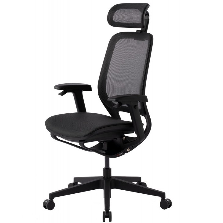 

Эргономичное кресло GT Chair Neoseat X, черное, Черный, Neoseat X