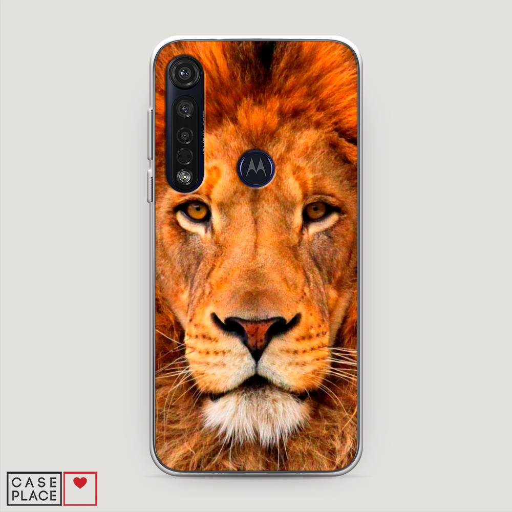 

Чехол на Motorola Moto G8 Plus "Благородный лев", Оранжевый, 241450-1