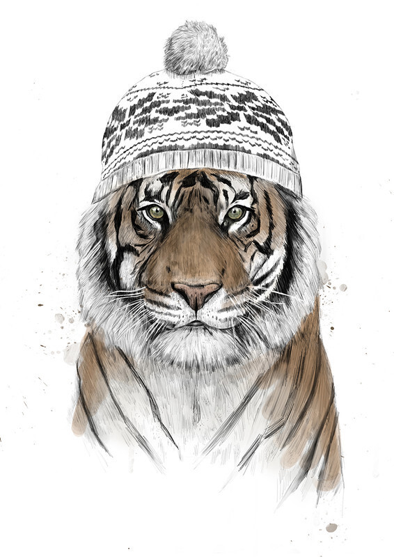 

Большой постер на стену Siberian tiger 50х70 см без рамы, BSSIB