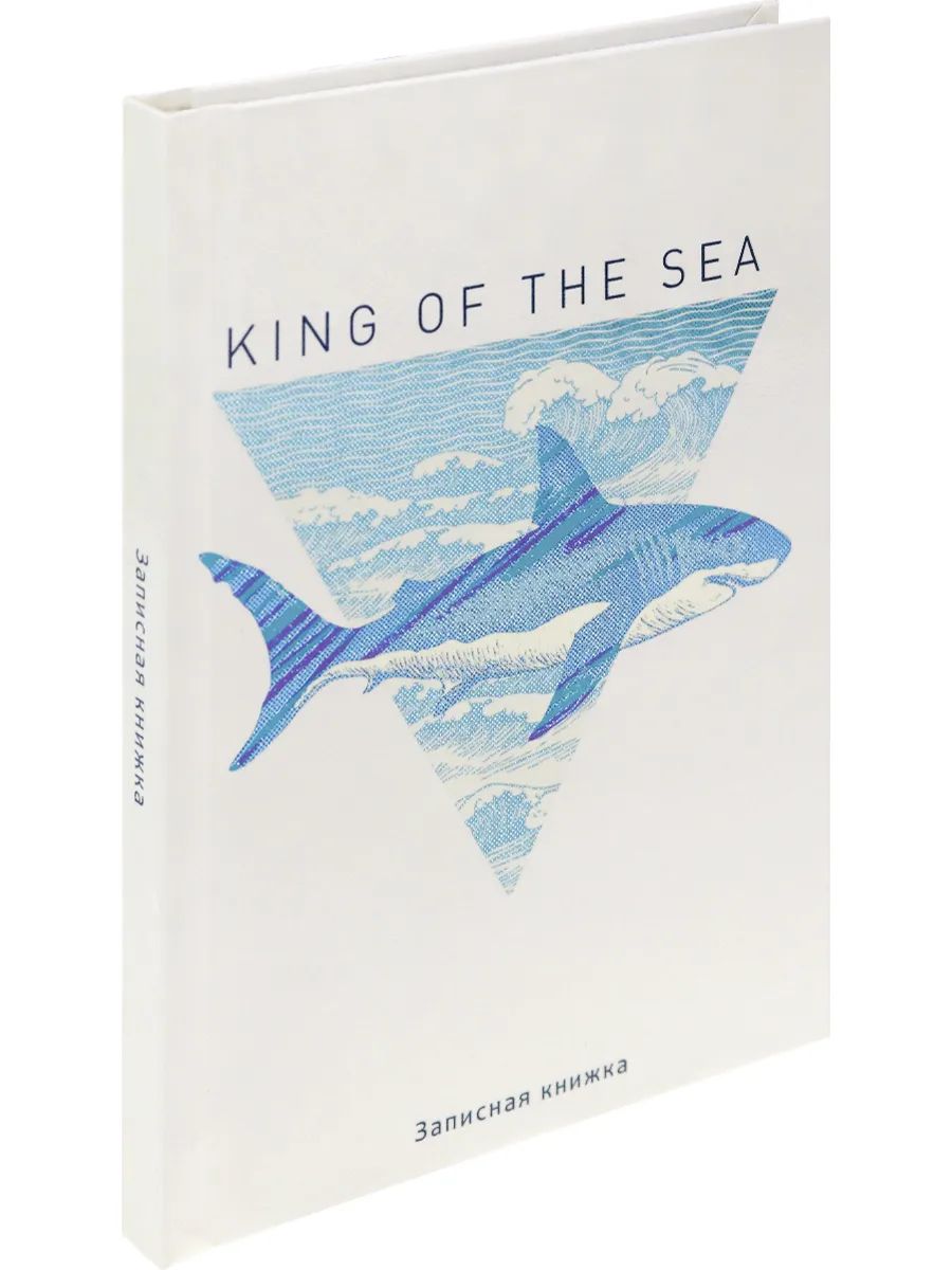 

Записная книжка Prof-Press Король моря А6 96 листов