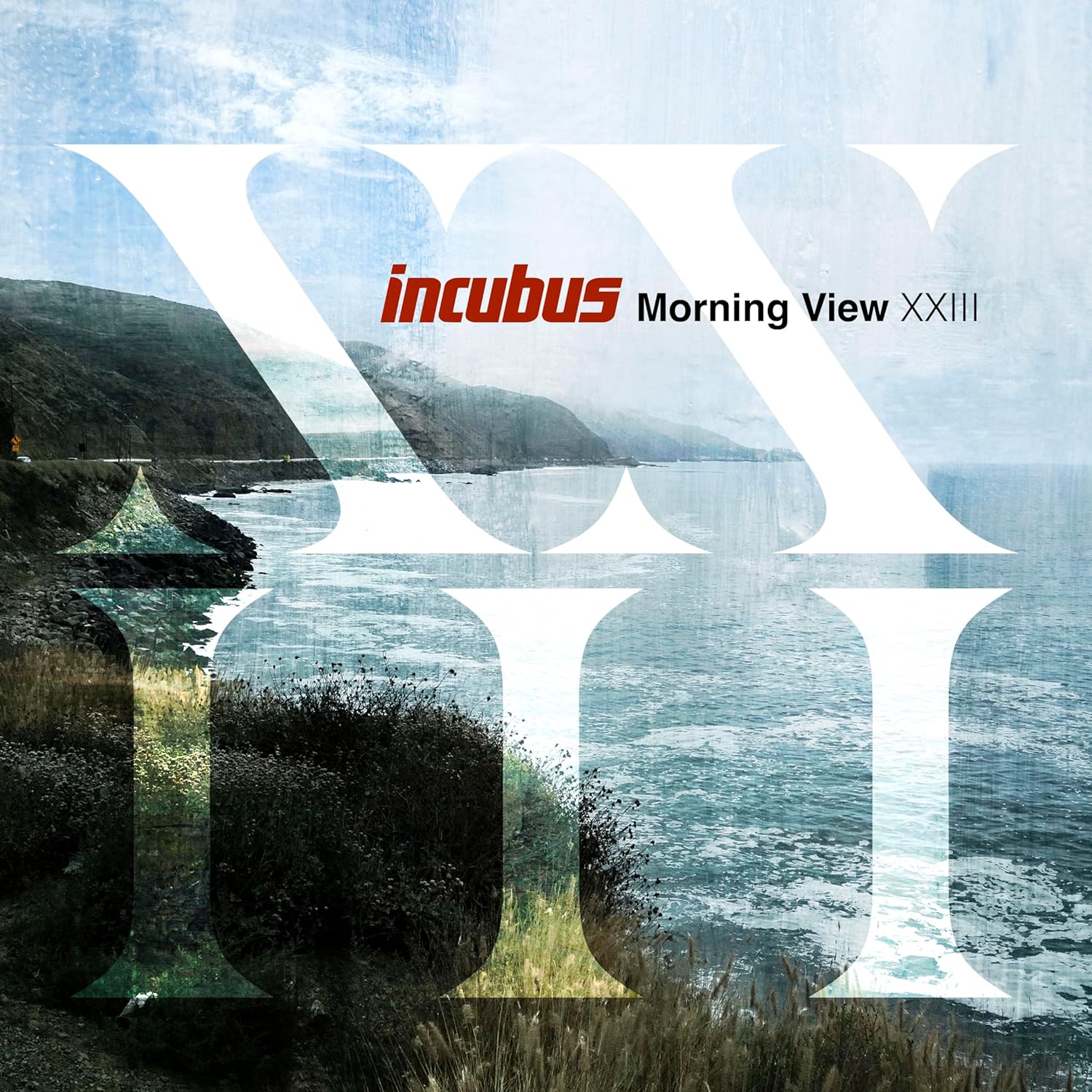 Incubus Morning View XXIII (2LP) 600020118241