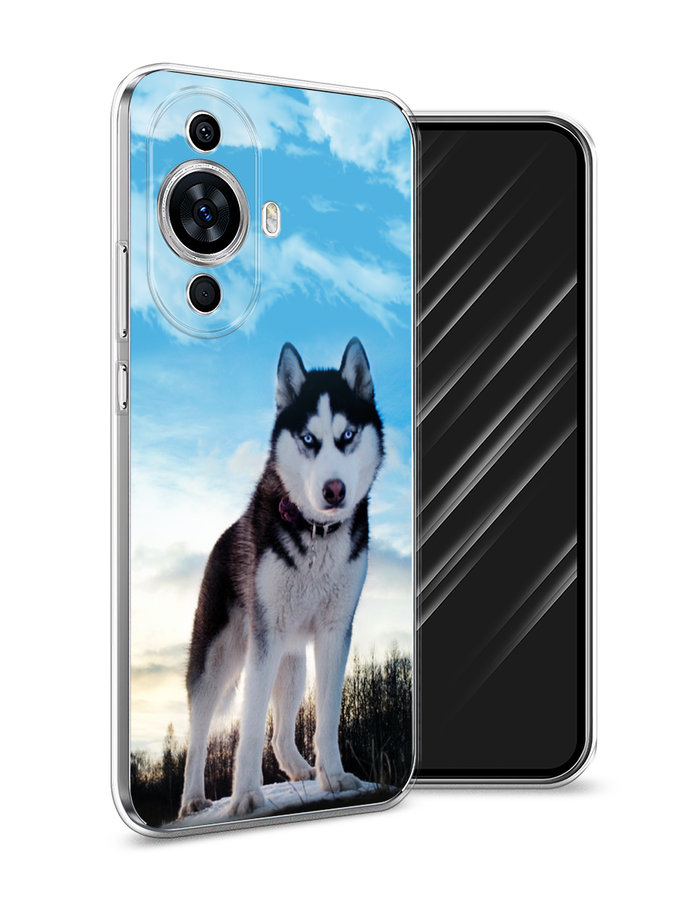 

Чехол Awog на Huawei Nova 11 "Хаски 3", Белый;черный;голубой, 6121250-2
