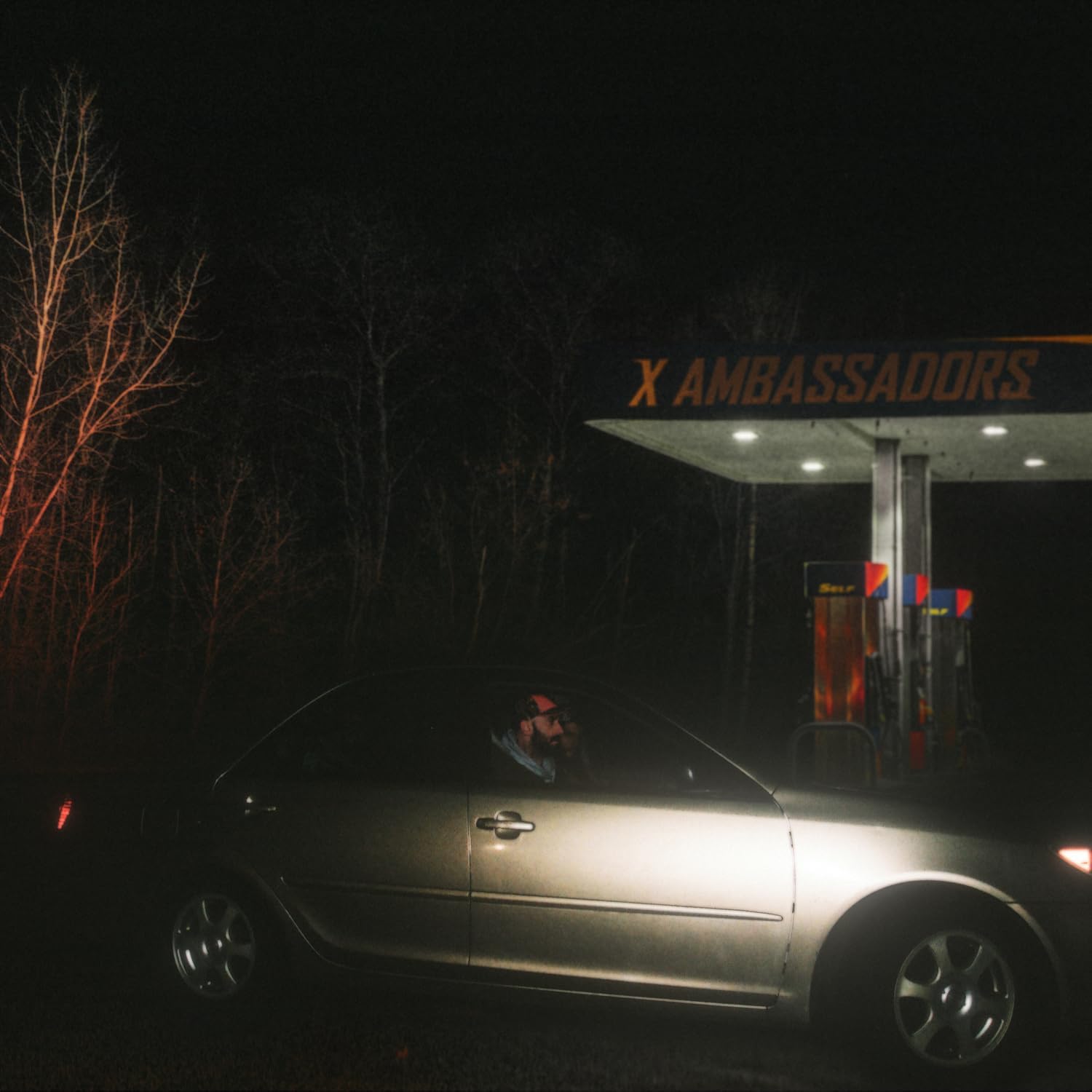 

X Ambassadors Townie (CD)