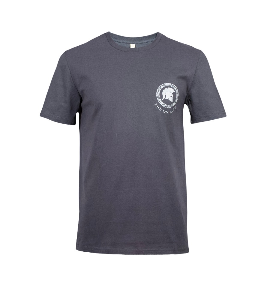 

Футболка мужская BEAR’S GEAR Ф10302628 серая S, Ф10302628