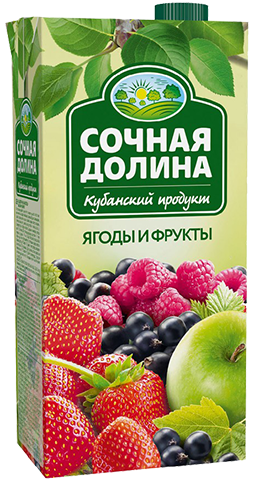 Напиток сокосодержащий Сочная Долина Смесь ягод и фруктов 193 л 228₽