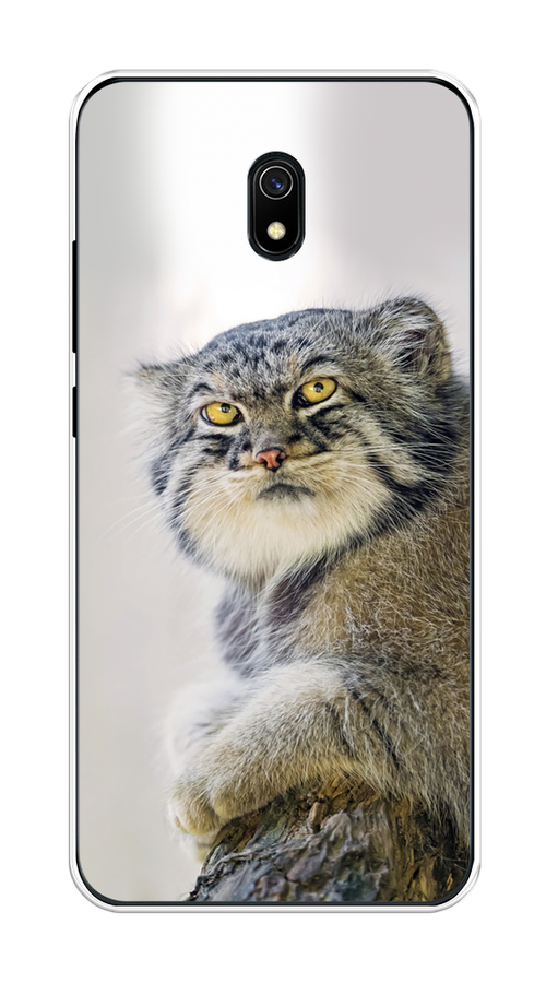 

Чехол на Xiaomi Redmi 8A "Кот манул 1", 37250-1