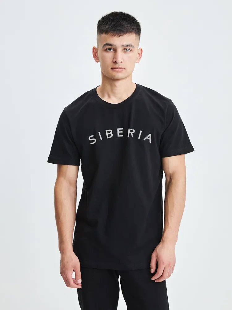 

Футболка унисекс Тайга. Сибирская марка одежды Siberia серая 3XL, Серый, Siberia