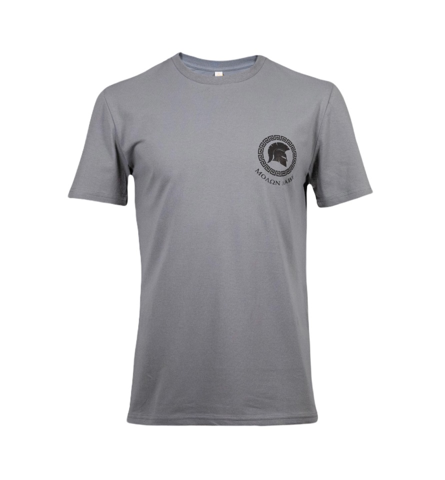 

Футболка мужская BEAR’S GEAR spartan серая M, spartan