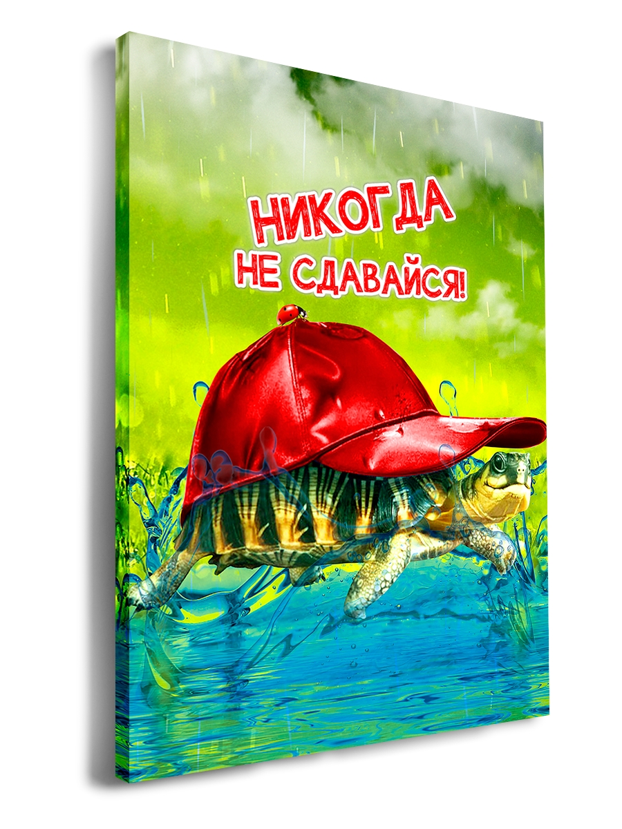 

Картина DRABS 60x40 см на холсте Черепаха в бейсболке