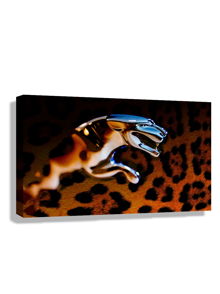 

Картина DRABS 60x40 см на холсте Ягуар