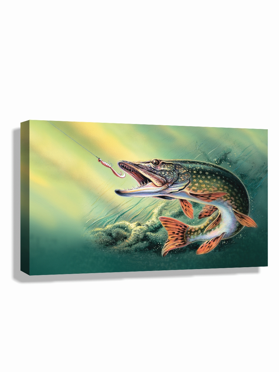 

Картина DRABS 60x40 см на холсте Щука клюет