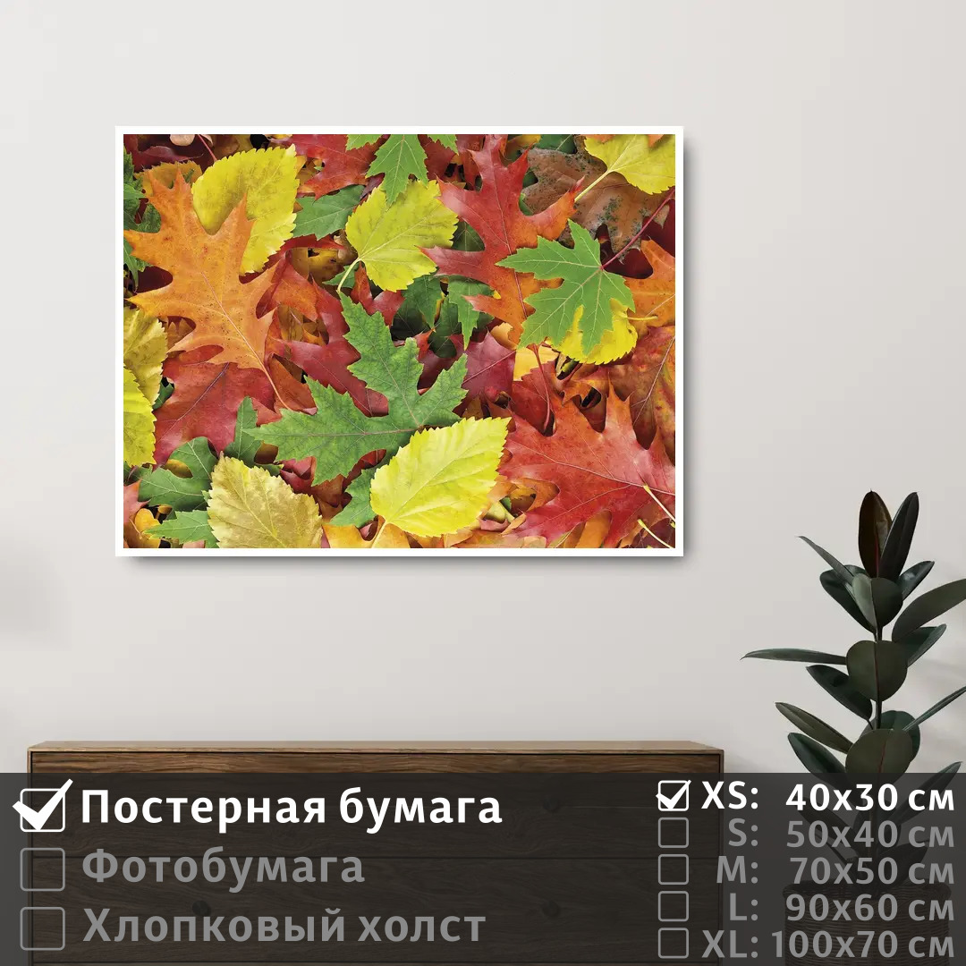 

Постер на стену ПолиЦентр Осенние красочные листья 40х30 см, ОсенниеКрасочныеЛистья