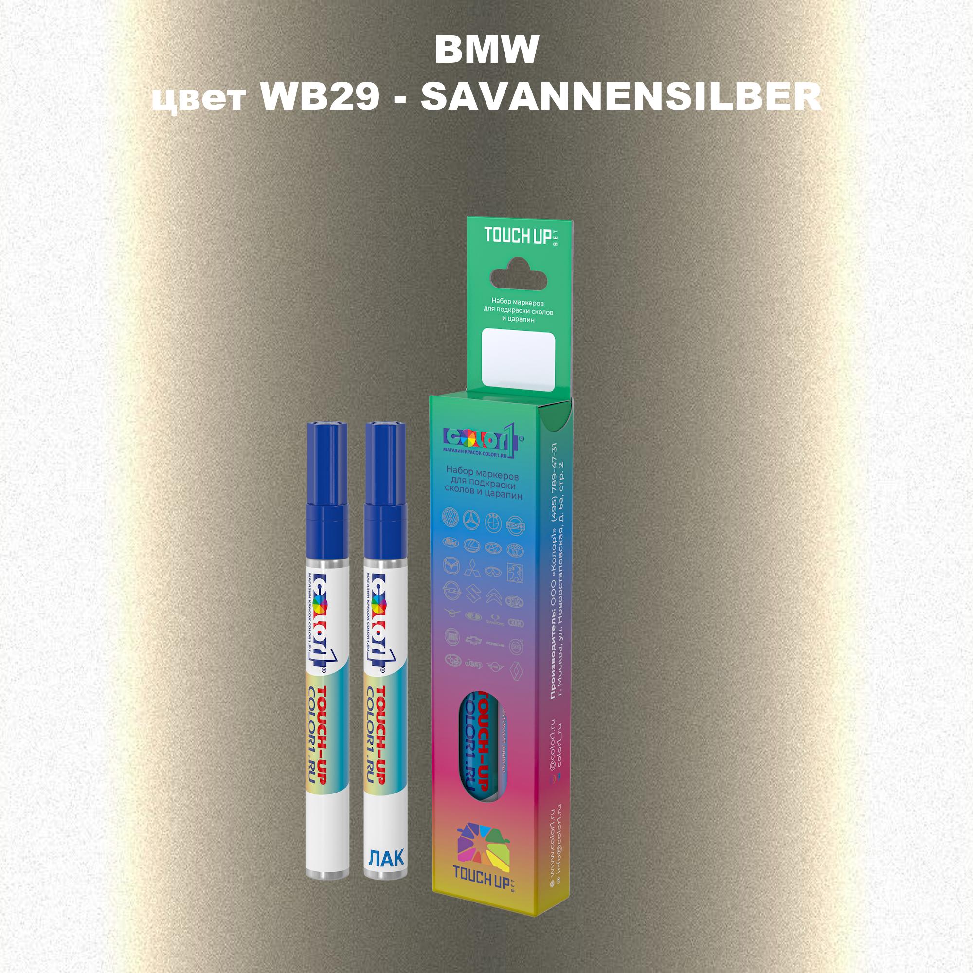 

Маркер с краской COLOR1 для BMW, цвет WB29 - SAVANNENSILBER, Прозрачный