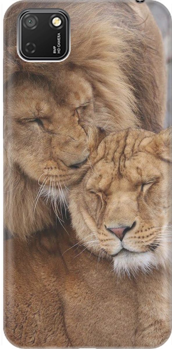 

Силиконовый чехол на Honor 9S/Huawei Y5P с принтом "Милые львы", Бежевый;коричневый, 1473