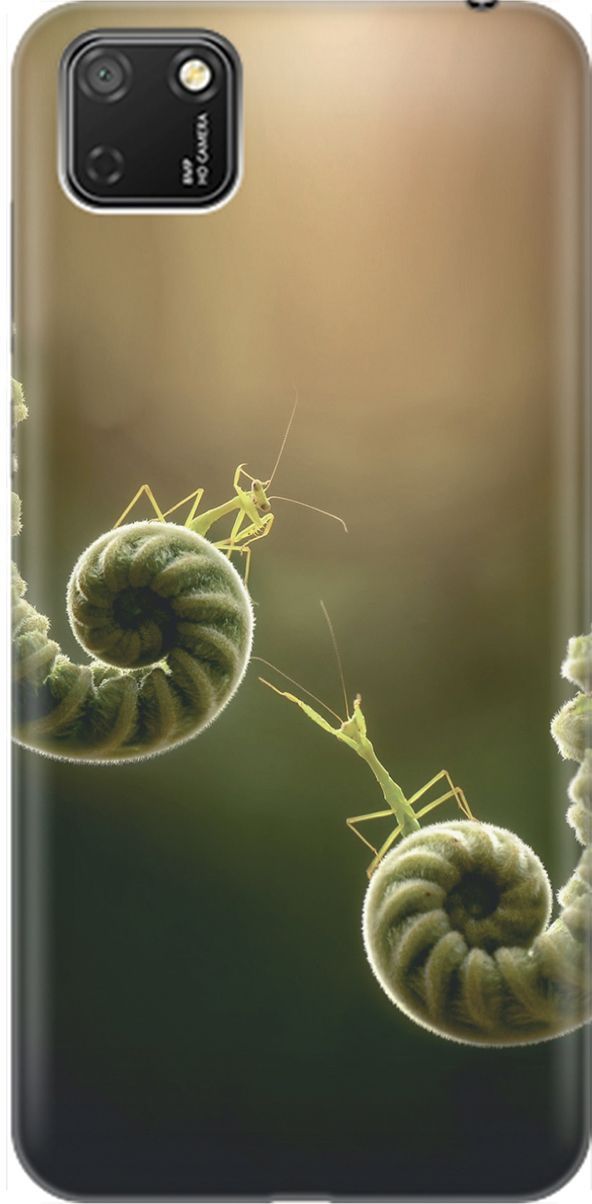 

Чехол на Honor 9S/Huawei Y5P с принтом "Пара богомолов", Бежевый;зеленый, 1473