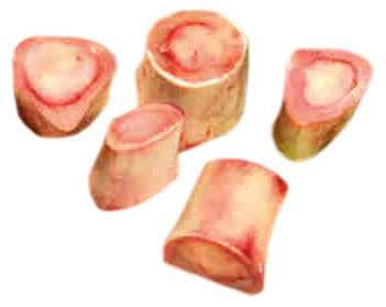 

Косточки мозговые говяжьи Максума замороженные