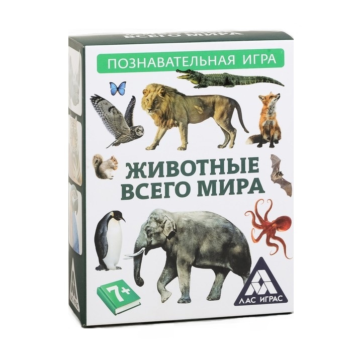 

Обучающая игра-викторина Gamedealer Животные со всего света, 50 карточек 1243615