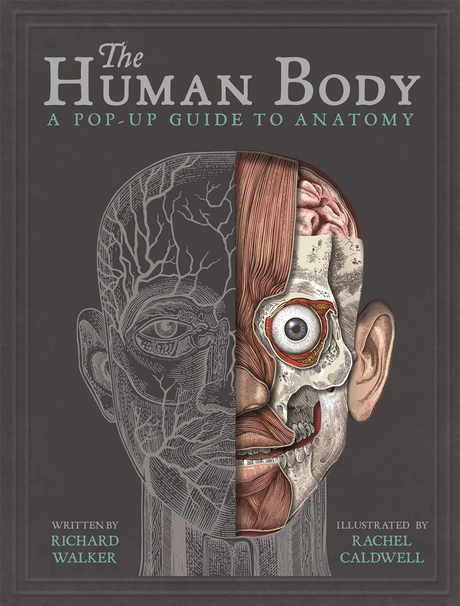 

The Human