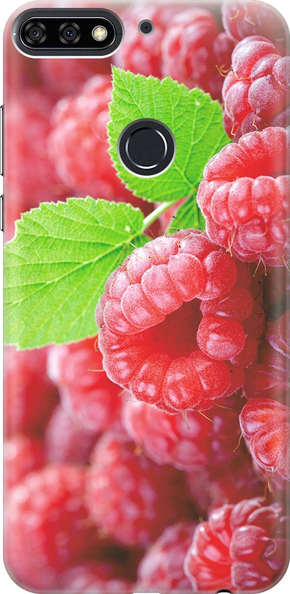 

Чехол на Honor 7C/7A Pro/Huawei Y6 Prime (2018) "Малинка", Зеленый;красный, 800