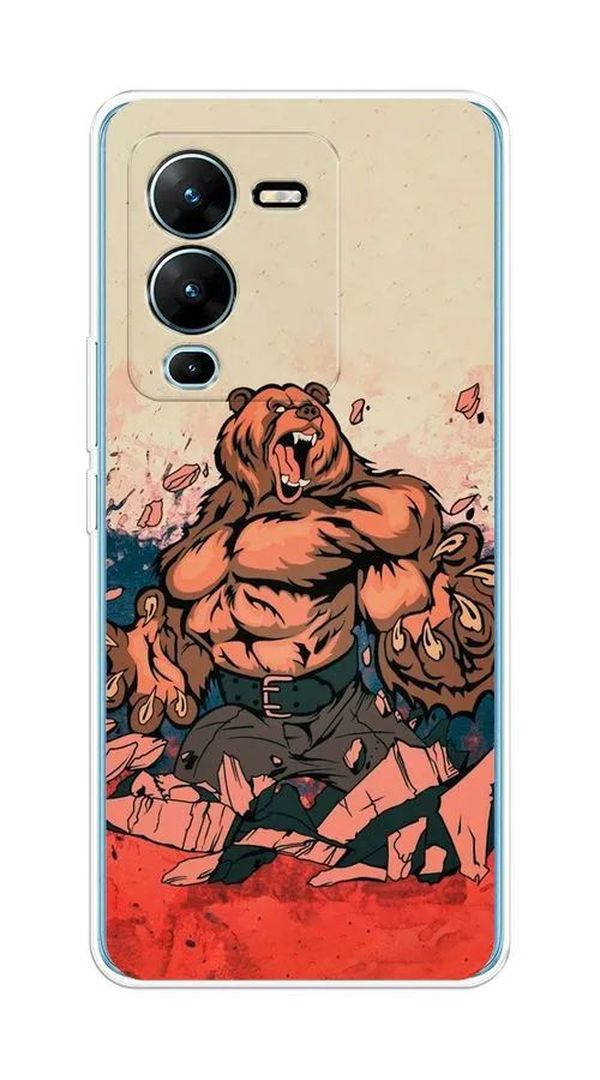 

Чехол Awog на Vivo V25 Pro 5G "Медведь с флагом РФ", Разноцветный, 267450-2