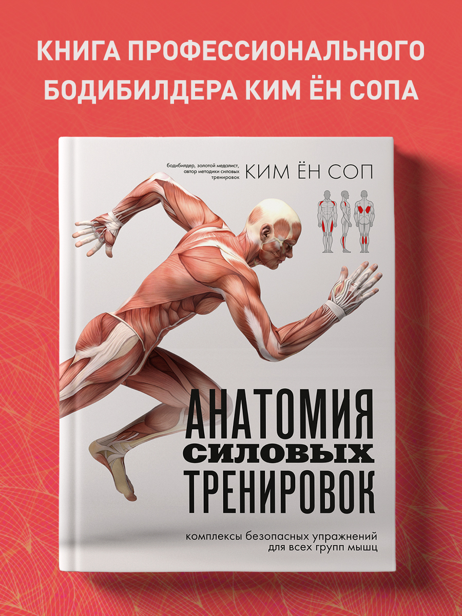 

Анатомия силовых тренировок