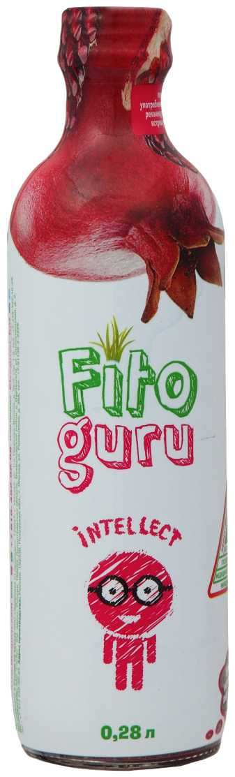 Напиток сокосодержащий Fitoguru Intellect гранат-черноплодная рябина-мелисса 0,28 л