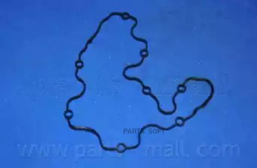 

Прокладка Клапанной Крышки Parts-Mall P1Gc011