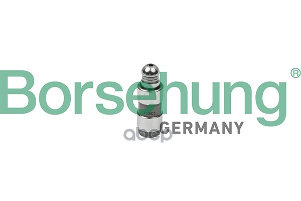 

Гидрокомпенсатор Borsehung b18828