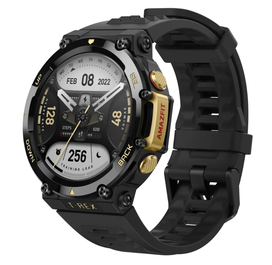 

Умные часы Amazfit T-Rex 2, черный/золотой