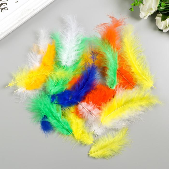 

Перья декоративные страусиные, 10-12 см (набор 24 шт) 6 цветов, яркие, ассорти, Разноцветный