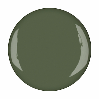 

Цветной гель для ногтей Catherine UV nail polish Olivegreen 4.5 мл, 20101016