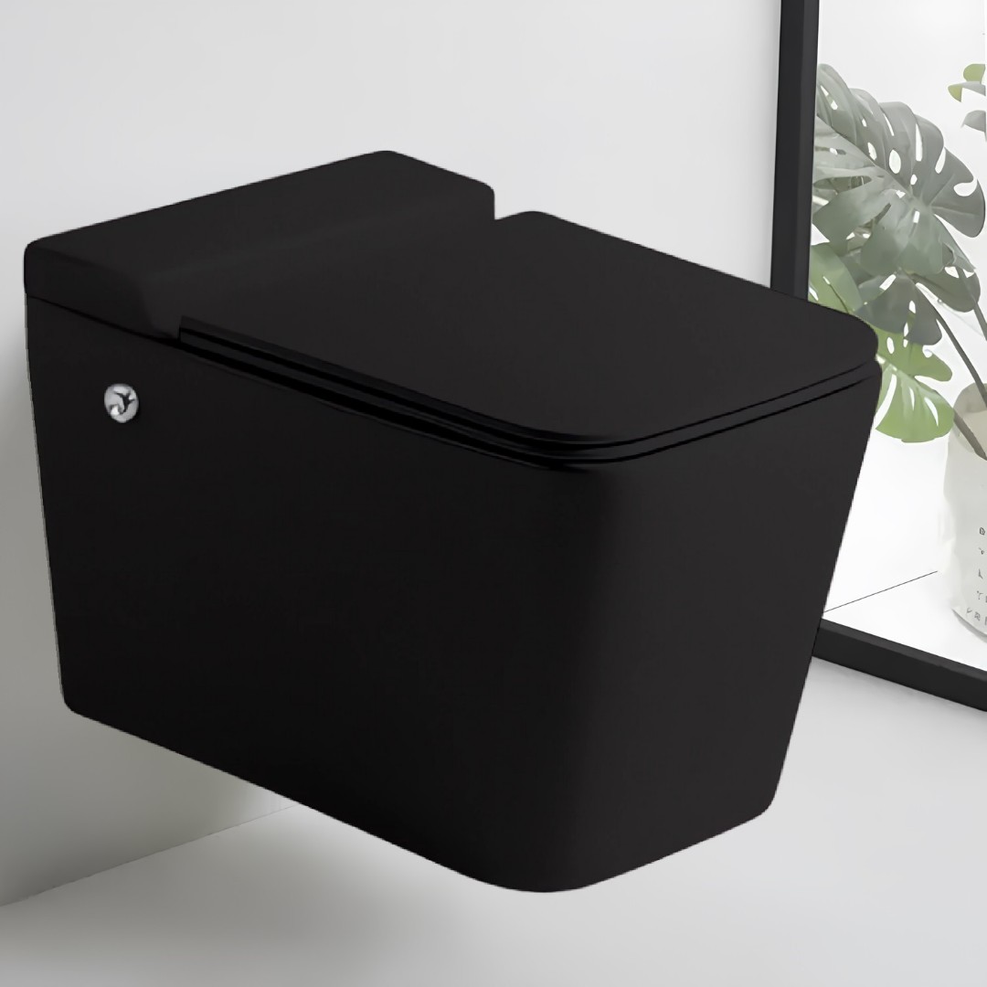 

Унитаз подвесной Ceruttispa MAIELLA Aria Pulse MB CT10192 безободковый импульсивный смыв, Черный, MAIELLA Aria Pulse MB