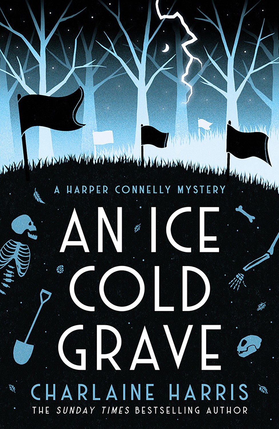 

An Ice Cold Grave