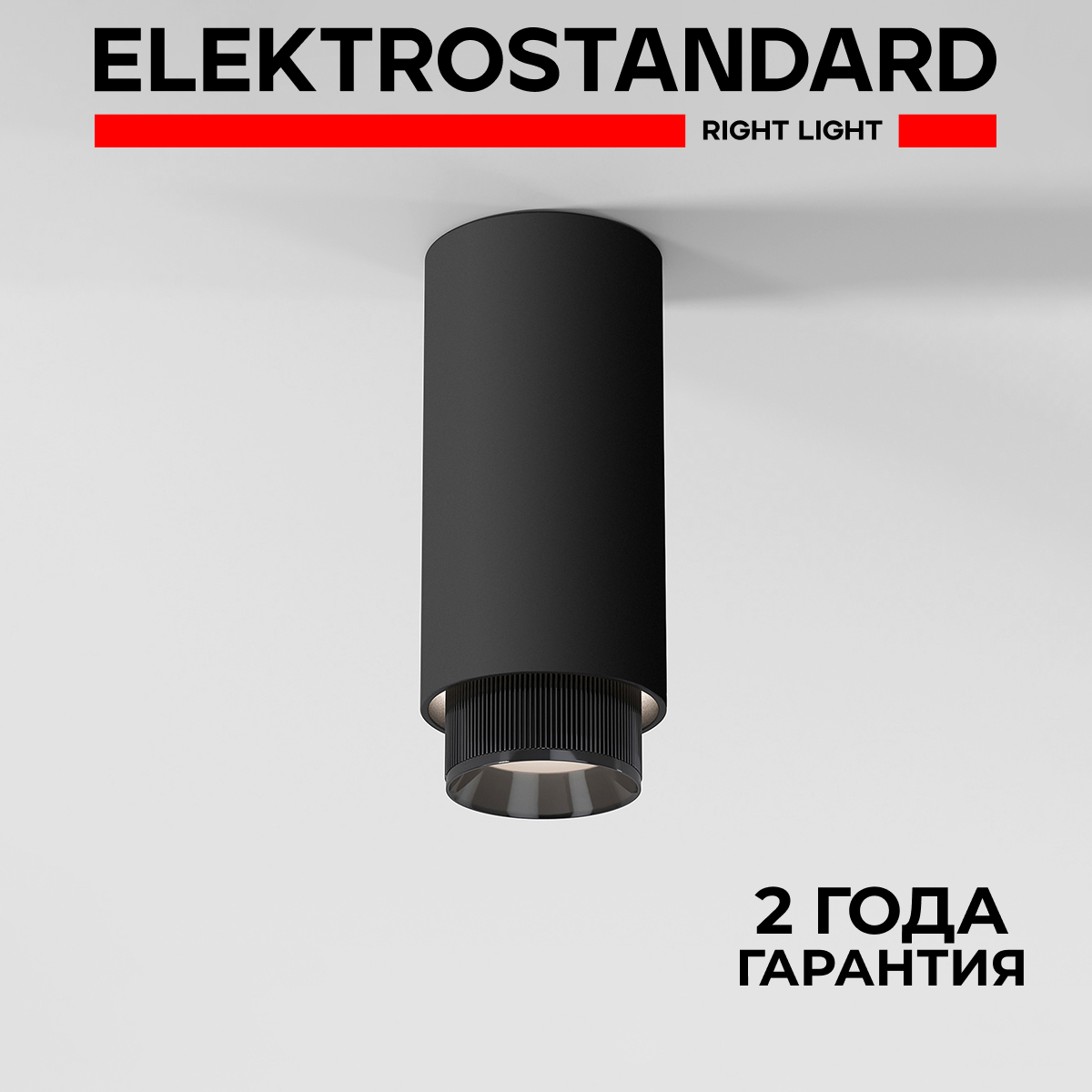 

Светильник накладной Elektrostandard Nubis 25012/01 GU10 чёрный, Nubis