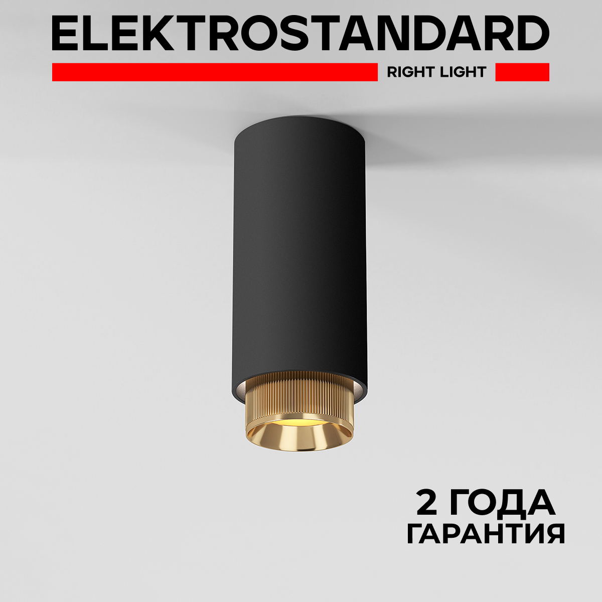 

Светильник накладной Elektrostandard Nubis 25012/01 GU10 чёрный/золото, Nubis