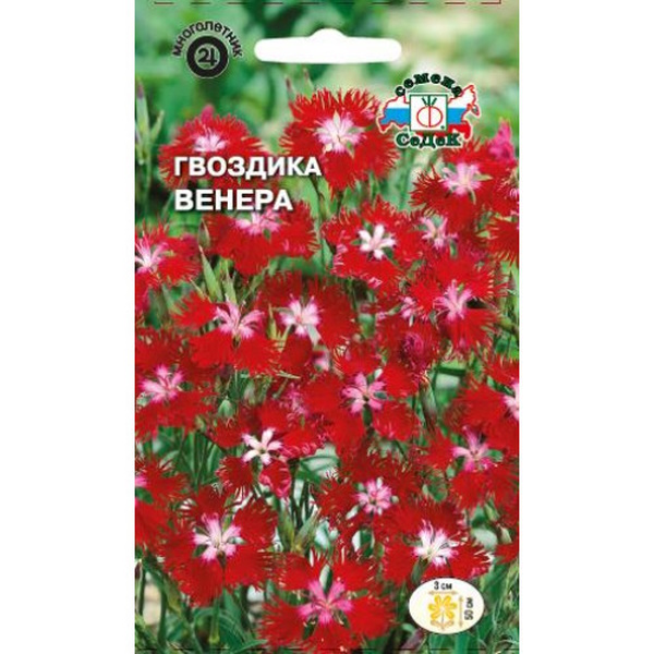 

Гвоздика "Седек" Венера 0,06г