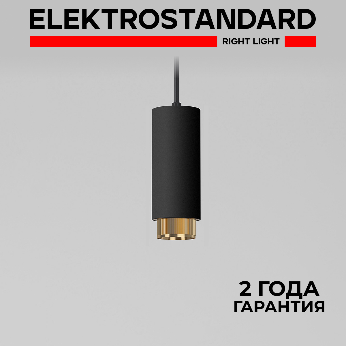 Подвесной светильник Elektrostandard Nubis 50122/1 GU10 чёрный/золото